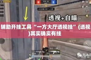 辅助开挂工具“一方大厅透视挂”(透视)其实确实有挂 