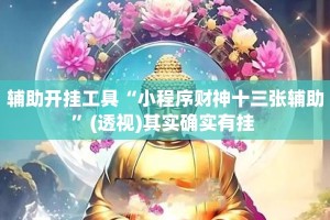 辅助开挂工具“小程序财神十三张辅助”(透视)其实确实有挂 