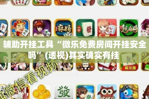 辅助开挂工具“微乐免费房间开挂安全吗”(透视)其实确实有挂 