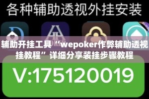 辅助开挂工具“wepoker作弊辅助透视挂教程”详细分享装挂步骤教程
