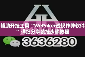 辅助开挂工具“WePoker透视作弊软件”详细分享装挂步骤教程