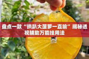 盘点一款“拱趴大菠萝一直输”揭秘透视辅助万能挂用法