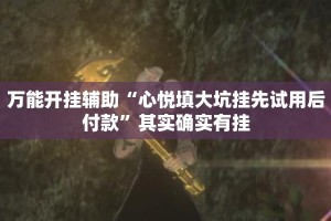 万能开挂辅助“心悦填大坑挂先试用后付款”其实确实有挂