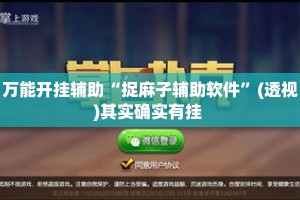 万能开挂辅助“捉麻子辅助软件”(透视)其实确实有挂 