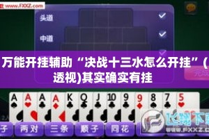 万能开挂辅助“决战十三水怎么开挂”(透视)其实确实有挂 