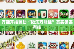 万能开挂辅助“微乐万能挂”其实确实有挂