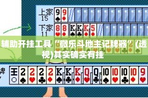 辅助开挂工具“微乐斗地主记牌器”(透视)其实确实有挂 