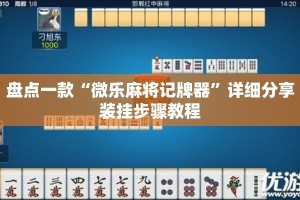 盘点一款“微乐麻将记牌器”详细分享装挂步骤教程