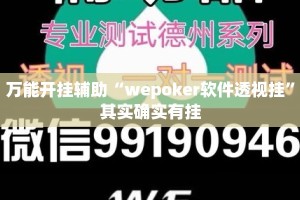 万能开挂辅助“wepoker软件透视挂”其实确实有挂