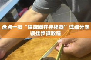 盘点一款“陕麻圈开挂神器”详细分享装挂步骤教程