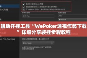 辅助开挂工具“WePoker透视作弊下载”详细分享装挂步骤教程