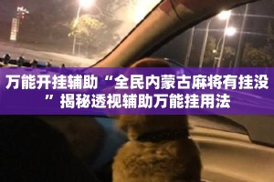 万能开挂辅助“全民内蒙古麻将有挂没”揭秘透视辅助万能挂用法