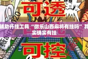 辅助开挂工具“微乐山西麻将有挂吗”其实确实有挂