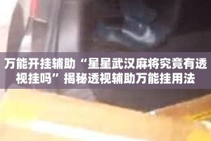 万能开挂辅助“星星武汉麻将究竟有透视挂吗”揭秘透视辅助万能挂用法
