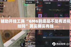 辅助开挂工具“GMG到底是不是有透视挂吗”其实确实有挂