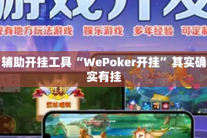 辅助开挂工具“WePoker开挂”其实确实有挂