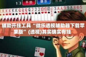 辅助开挂工具“微乐透视辅助器下载苹果版”(透视)其实确实有挂 