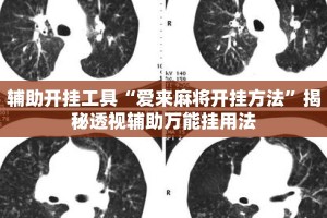 辅助开挂工具“爱来麻将开挂方法”揭秘透视辅助万能挂用法