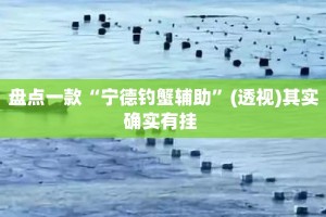 盘点一款“宁德钓蟹辅助”(透视)其实确实有挂 