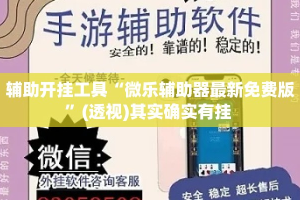 辅助开挂工具“微乐辅助器最新免费版”(透视)其实确实有挂 