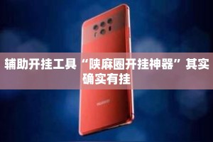 辅助开挂工具“陕麻圈开挂神器”其实确实有挂