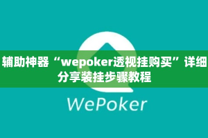 辅助神器“wepoker透视挂购买”详细分享装挂步骤教程
