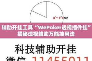 辅助开挂工具“WePoker透视插件挂”揭秘透视辅助万能挂用法