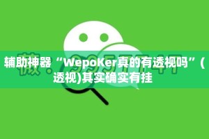 辅助神器“WepoKer真的有透视吗”(透视)其实确实有挂 