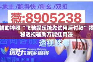 辅助神器“飞驰娱乐挂先试用后付款”揭秘透视辅助万能挂用法