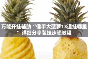 万能开挂辅助“佛手大菠萝13道挂哪里”详细分享装挂步骤教程