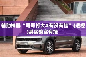 辅助神器“哥哥打大A有没有挂”(透视)其实确实有挂 