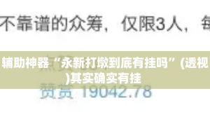 辅助神器“永新打墩到底有挂吗”(透视)其实确实有挂 