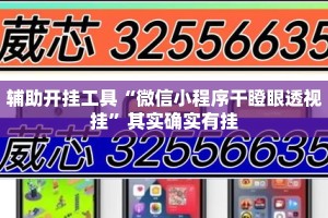 辅助开挂工具“微信小程序干瞪眼透视挂”其实确实有挂