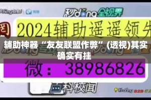 辅助神器“友友联盟作弊”(透视)其实确实有挂 