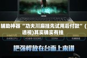 辅助神器“功夫川麻挂先试用后付款”(透视)其实确实有挂 