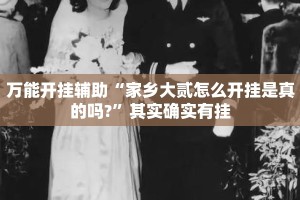 万能开挂辅助“家乡大贰怎么开挂是真的吗?”其实确实有挂