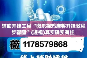 辅助开挂工具“微乐捉鸡麻将开挂教程步骤图”(透视)其实确实有挂 