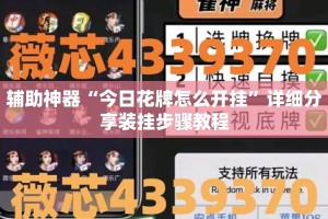 辅助神器“今日花牌怎么开挂”详细分享装挂步骤教程
