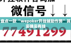 盘点一款“wepoker开挂辅助作弊”其实确实有挂