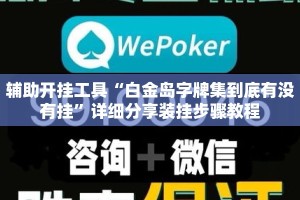 辅助开挂工具“白金岛字牌集到底有没有挂”详细分享装挂步骤教程