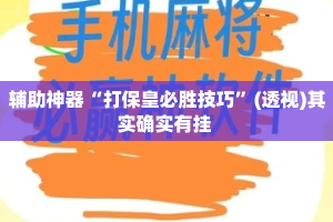 辅助神器“打保皇必胜技巧”(透视)其实确实有挂 