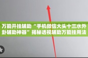 万能开挂辅助“手机微信大头十三水外卦辅助神器”揭秘透视辅助万能挂用法