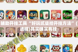 辅助开挂工具“好玩贰柒拾开挂方法”(透视)其实确实有挂 