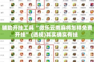 辅助开挂工具“微乐云南麻将怎样免费开挂”(透视)其实确实有挂 
