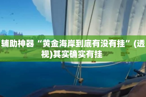 辅助神器“黄金海岸到底有没有挂”(透视)其实确实有挂 