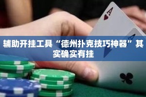 辅助开挂工具“德州扑克技巧神器”其实确实有挂