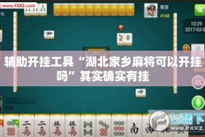 辅助开挂工具“湖北家乡麻将可以开挂吗”其实确实有挂