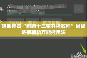 辅助神器“嘟嘟十三张开挂教程”揭秘透视辅助万能挂用法