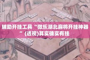 辅助开挂工具“微乐湖北麻将开挂神器”(透视)其实确实有挂 