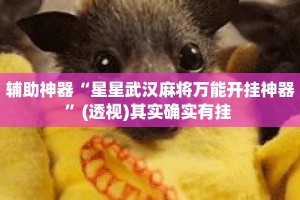 辅助神器“星星武汉麻将万能开挂神器”(透视)其实确实有挂 